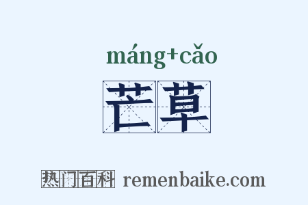 芒草是什么意思的图片